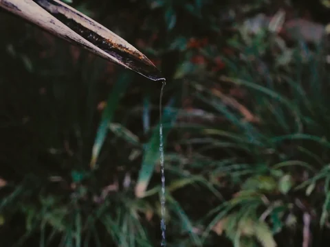 Wasser rinnt aus einem Bambusrohr in einen dunkelgrünen Garten