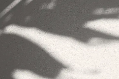 Schatten eines Palmenblatts auf heller Wand