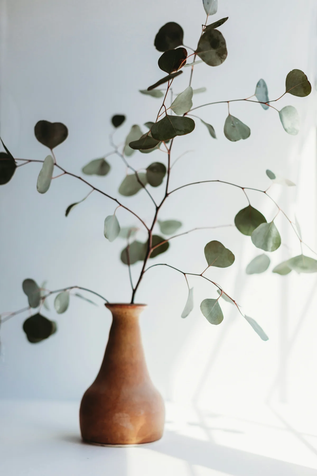 Natürlich Schön – Massage & Wellness in Berlin-Schmargendorf